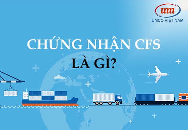 chung nhan cfs la gi