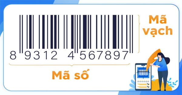 mã số, mã vạch