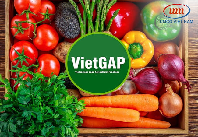 san pham vietgap