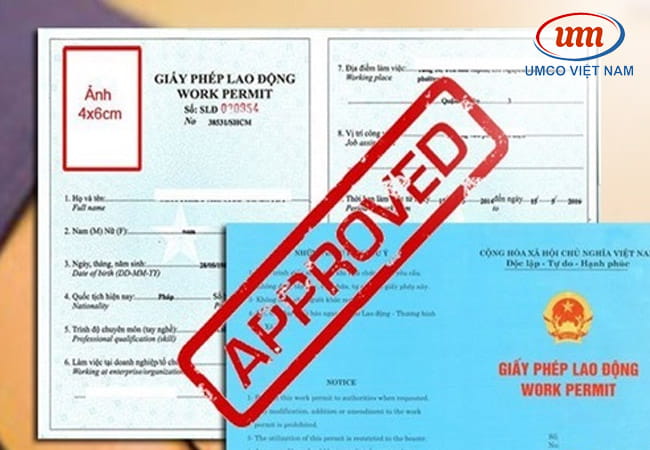 dich vu lam work permit