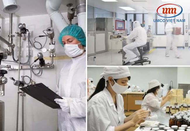 gmp trong ngành dược