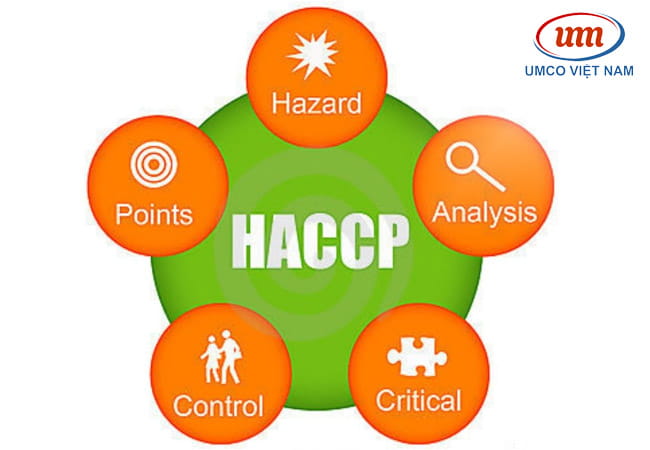 xây dựng haccp