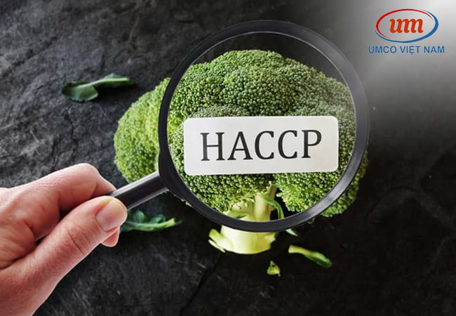 xây dựng kế hoạch haccp