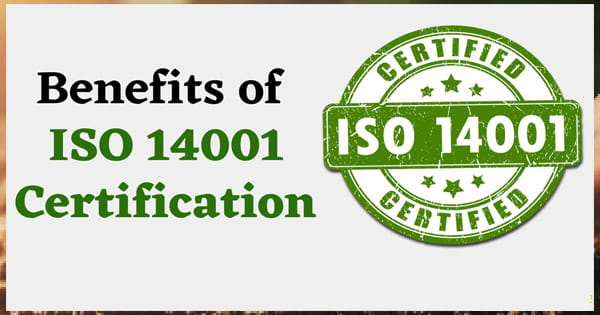 các công ty áp dụng iso 14000